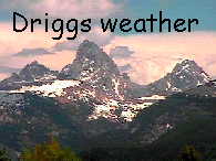 wx